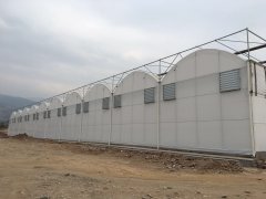 邛莱连栋膜温室